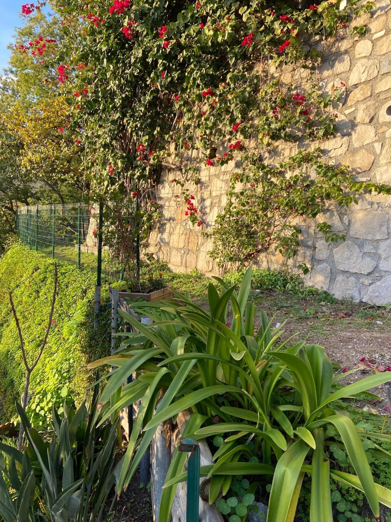A Avec Vue Villa