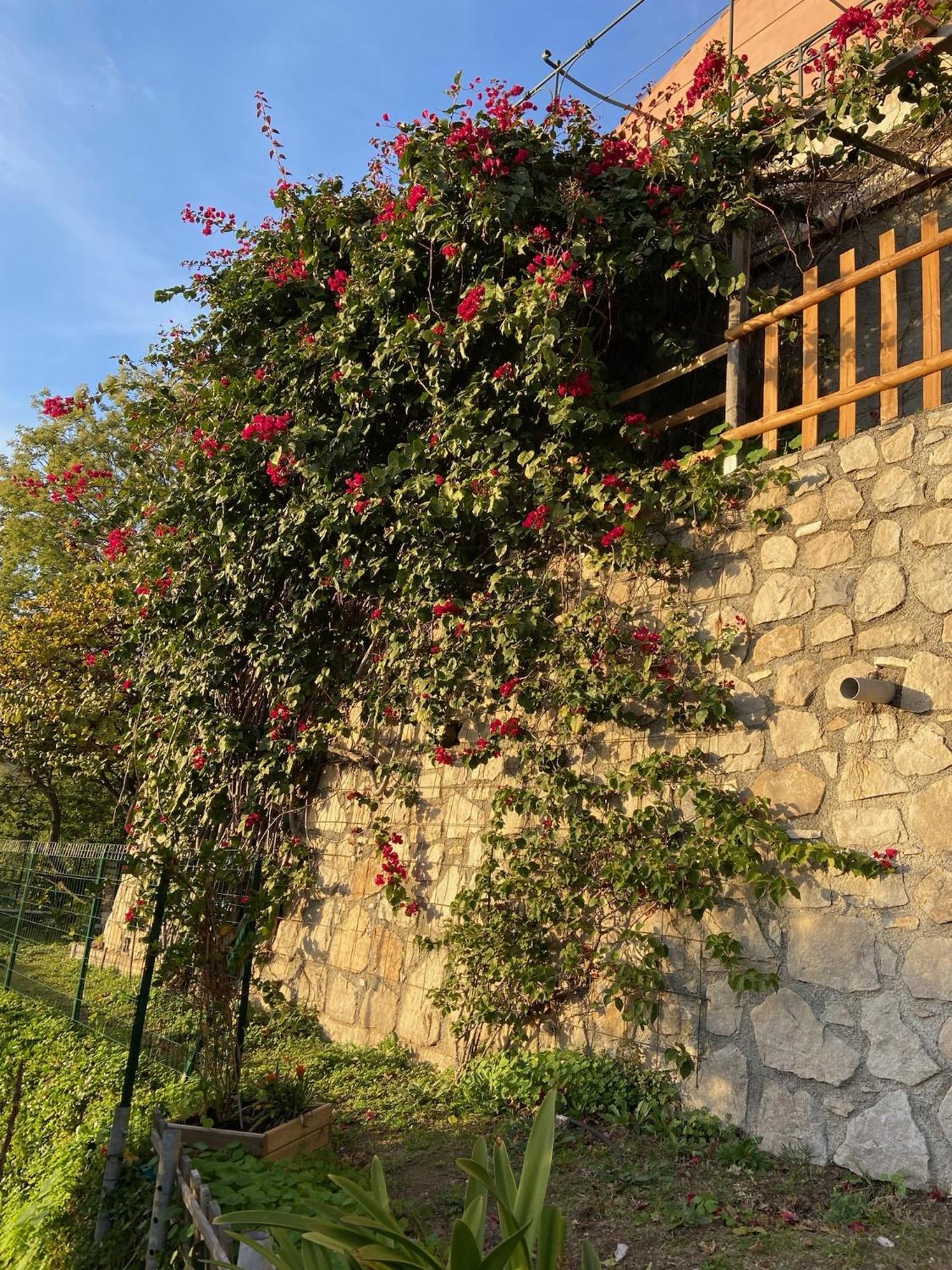 Villa A Avec Vue *